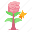 flower, rose, bucket, fragrance, romance, surprise 
