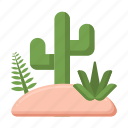 wild, plants, cactus, desert
