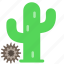 cactus, desert, lonely, southwest, tumbleweed, western 