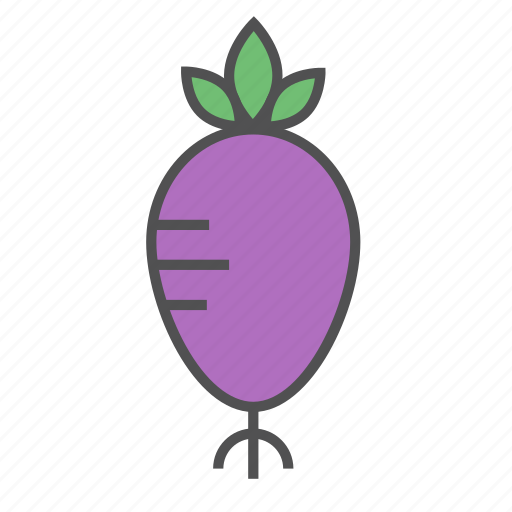 Beetroot, food, healthy, salad, tasty, vegan, vegetable icon - Download on Iconfinder