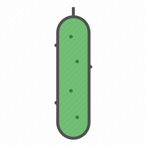Cucumber, food, green, healthy, salad, summer, vegan icon - Download on Iconfinder