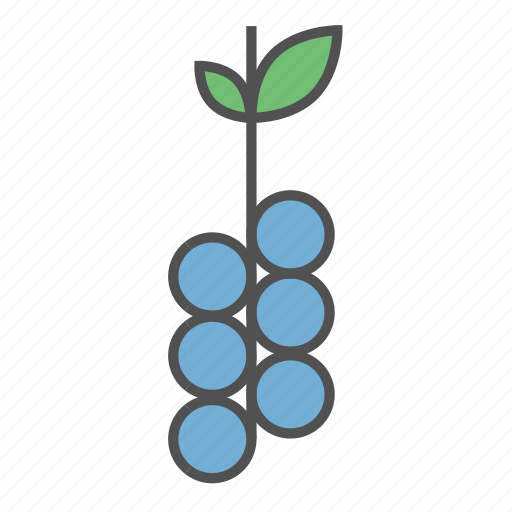 Berry, food, fresh, fruit, grapes, summer, vegan icon - Download on Iconfinder