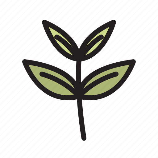Tea, leaves, leaf, green, fresh, plant icon - Download on Iconfinder