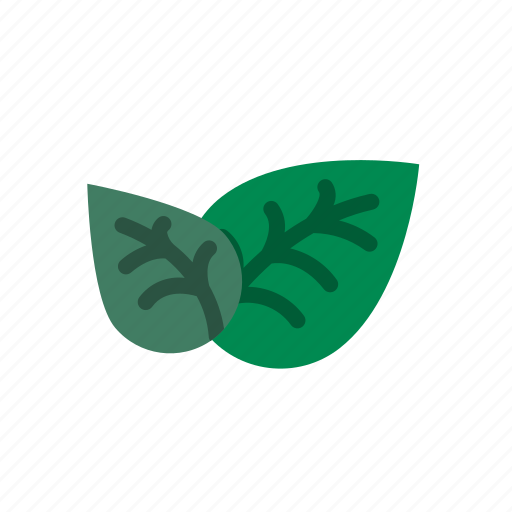 Tea, leaves, leaf, green, fresh, plant icon - Download on Iconfinder
