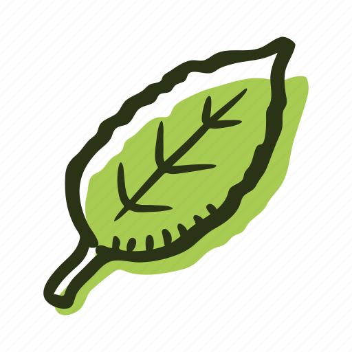 Green, herb, ingredient, leaf, plant, tea, tea leaf icon - Download on Iconfinder