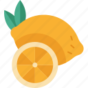 lemon, citrus, fruit, lemonade, ingredient