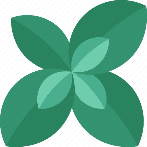 Mint, herb, aromatic, flavor, plant icon - Download on Iconfinder