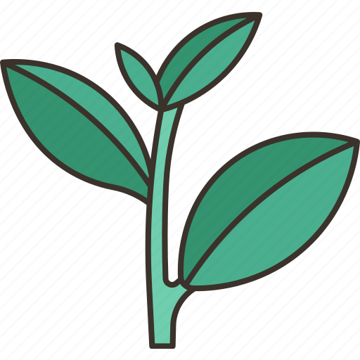 Tea, leaf, herbal, plant, farm icon - Download on Iconfinder