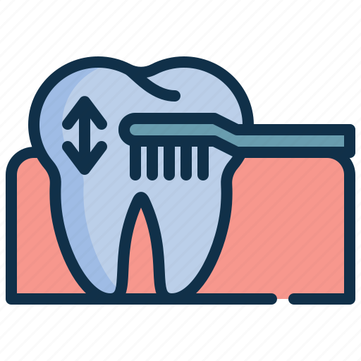 Teeth, tooth, brush, healthcare, dental icon - Download on Iconfinder