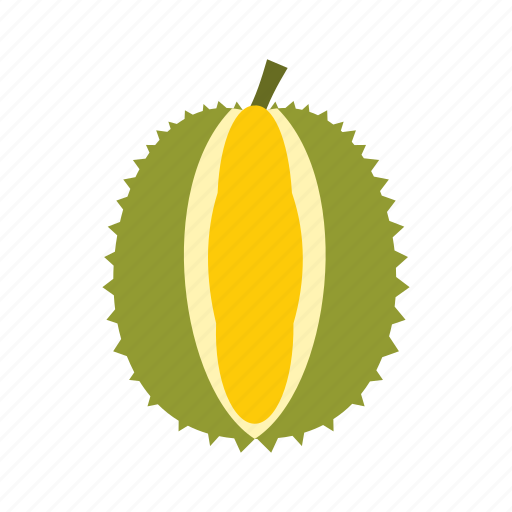 Durian, food, fresh, fruit, nature, thorn, tropical icon - Download on Iconfinder