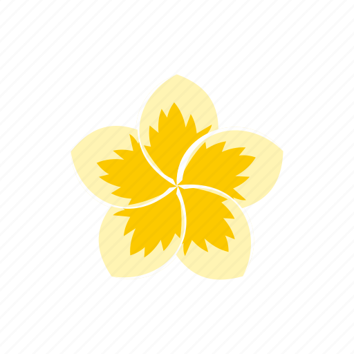Beautiful, beauty, blossom, flower, frangipani, nature, tropical icon - Download on Iconfinder