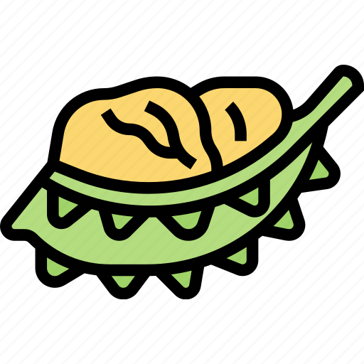 Durian, fruit, dessert, tropical, exotic icon - Download on Iconfinder