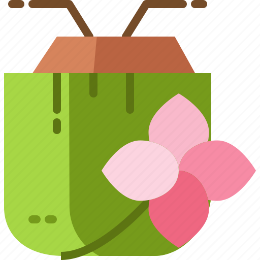 Coconut, drink, flower, plumeria, thailand, tropical icon - Download on Iconfinder
