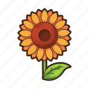 thanksgiving, sunflower, food, flower, garden, plant, autumn
