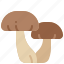 mushroom, fungus, vegetable, food, autumn, fungi, cap 