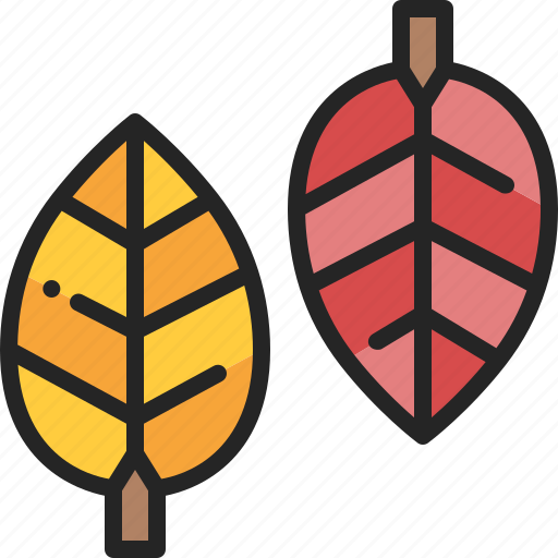 Leaf, leaves, autumn, fall, foliage, season, plant icon - Download on Iconfinder