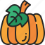 pumpkin, vegetable, harvest, thanksgiving, autumn, food, fruit 