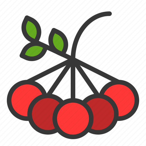 Berry, food, fruits, thanksgiving icon - Download on Iconfinder