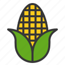 corn, crop, food, thanksgiving, vegetable 
