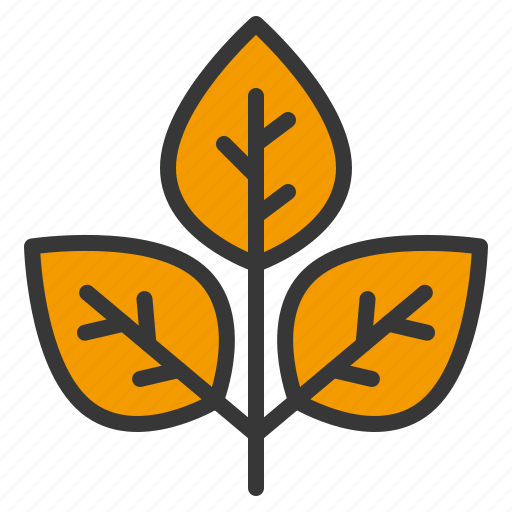 Leaf, nature, plant, thanksgiving icon - Download on Iconfinder