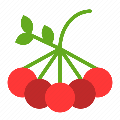 Berry, fall, food, fruits, thanksgiving icon - Download on Iconfinder