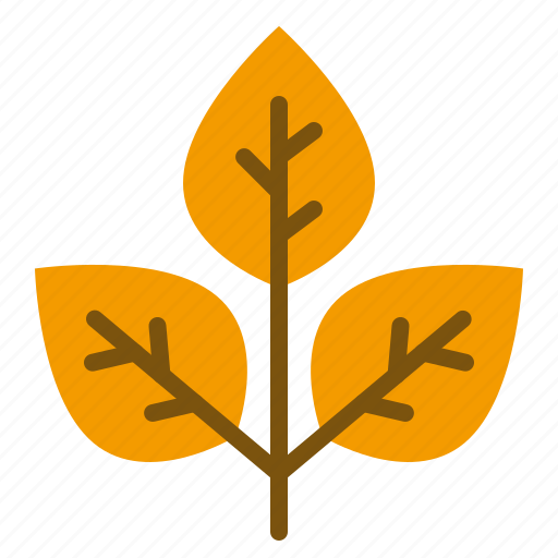 Fall, leaf, nature, plant, thanksgiving icon - Download on Iconfinder