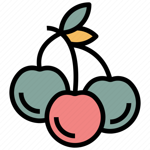 Cherry, fruit, healthy, sweets, vegetarian icon - Download on Iconfinder