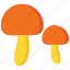 thanksgiving, mushroom, plant, fungi 