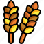 wheat, grain, plant, nature, food, barley, branch, leaves 