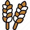 wheat, grain, plant, nature, food, barley, branch, leaves