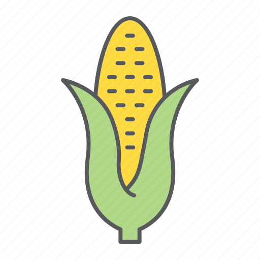 Maize, corn, natural, sweetcorn, organic, food, vegetable icon - Download on Iconfinder