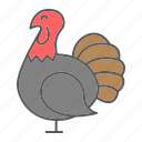 day, poultry, meat, animal, thanksgiving, bird, turkey