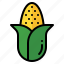 corn, organic, vegetable, farming, crop, vegan 
