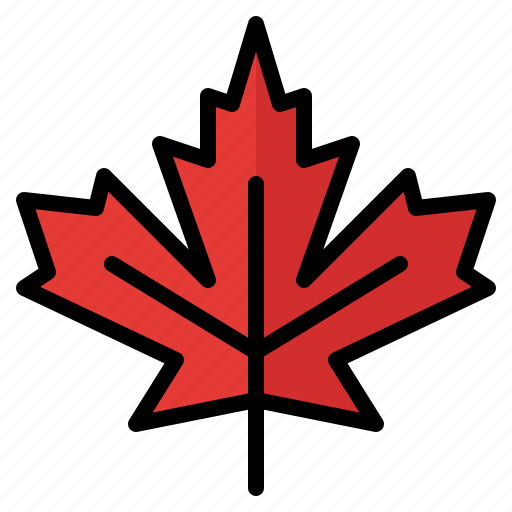 Maple, leaf, nature, plant, autumn icon - Download on Iconfinder