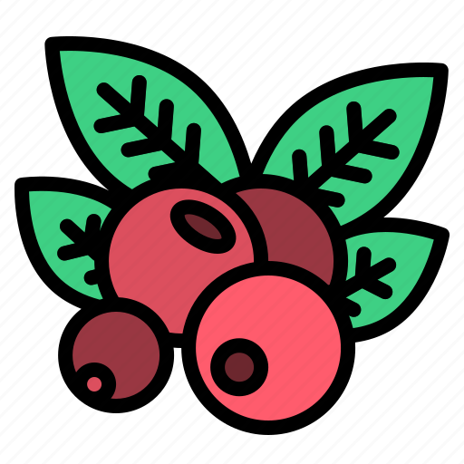 Thanksgiving, berries, berry, fruit, food, healthy icon - Download on Iconfinder