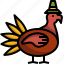 animal, chicken, farming, thanksgiving, turkey 