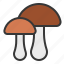 fungi, mushroom, thanksgiving 