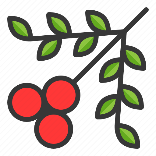 Abundant, berry, fruit, thanksgiving icon - Download on Iconfinder