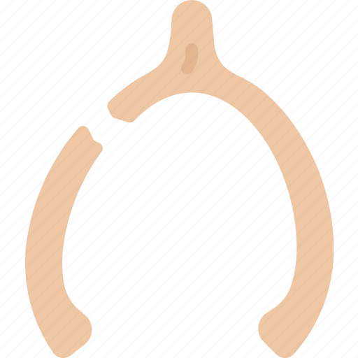 Broken, dinner, holiday, thanksgiving, tradition, wishbone icon - Download on Iconfinder