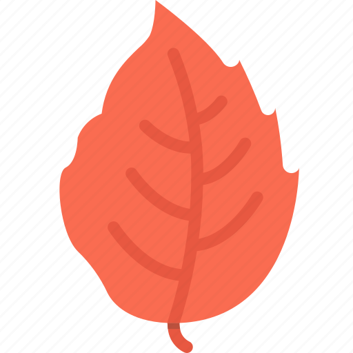 Dinner, holiday, leaf, thanksgiving, tree icon - Download on Iconfinder