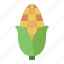 corn, vegetable, thanksgiving, autumn, fall 
