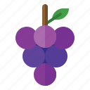 grapes, fruit, purple, wine, cluster