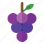 grapes, fruit, purple, wine, cluster 