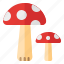 mushroom, fungi, edible, forest, cap, fungus 