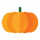 pumpkin, orange, fall, halloween, squash, carving