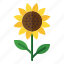 sunflower, flower, botanical, bloom, seeds, plant 