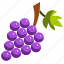farming, fruit, grape, wine 