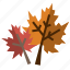 autumn, dry, fall, leaves, maple, nature 