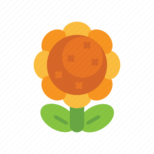 Sunflower, flower, thanksgiving, autumn icon - Download on Iconfinder