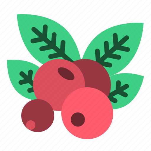 Thanksgiving, berries, berry, fruit, food, healthy icon - Download on Iconfinder